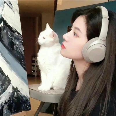 漫影寻踪海报